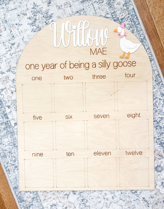 Silly Goose First Year Photo Board